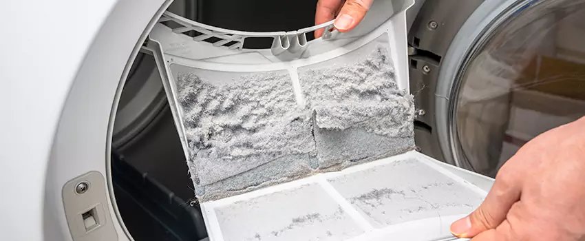 Best Dryer Lint Removal Company in Park Forest, Illinois